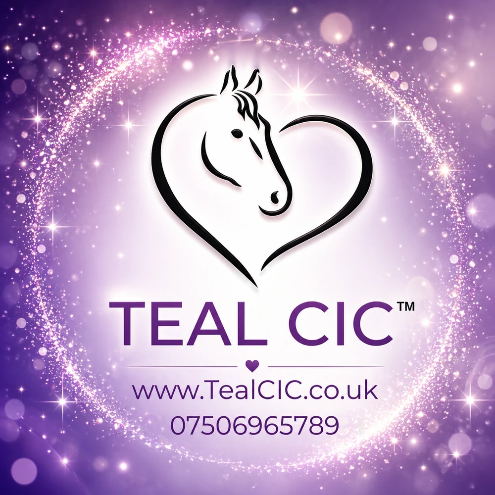TEAL CIC accredited education logo on a purple sparkle background