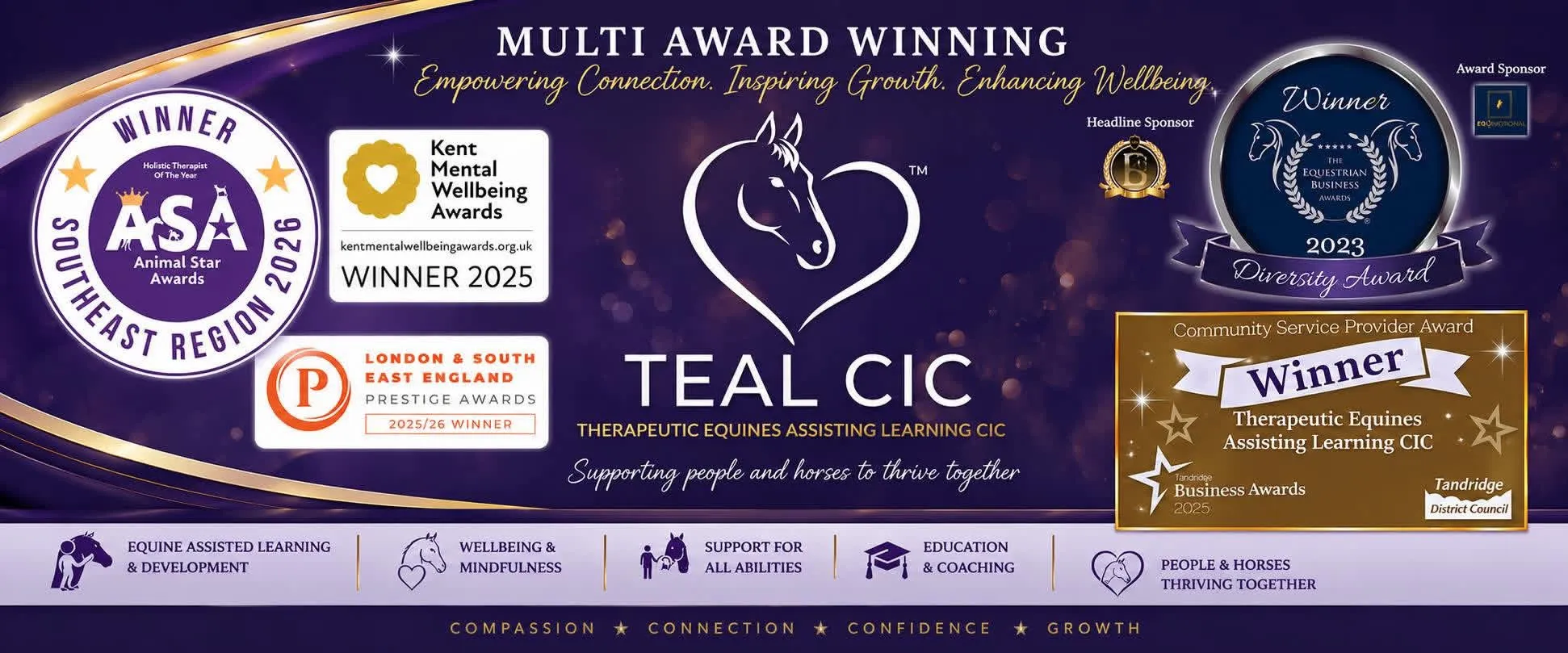TEAL CIC multi award winning banner