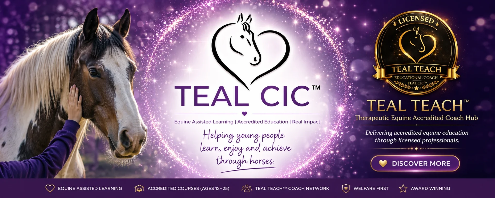 TEAL CIC and TEAL TEACH courses banner
