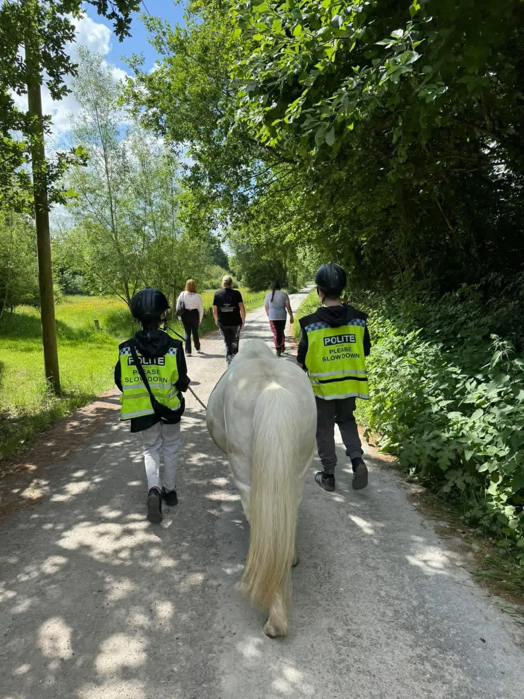 Learners walking a pony through the Surrey countryside at TEAL CIC