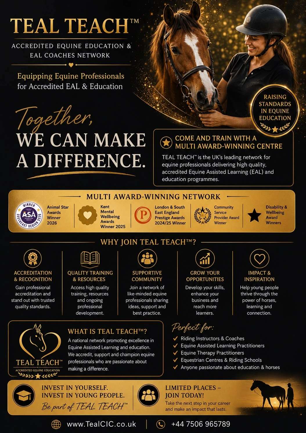TEAL TEACH equine professionals network flyer